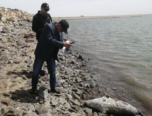 Вскрытие  не покажет