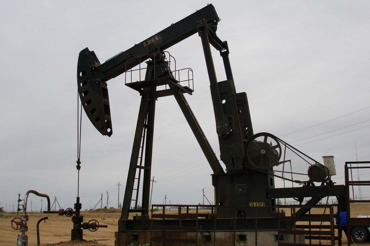 Штрафы ничто по сравнению с доходами