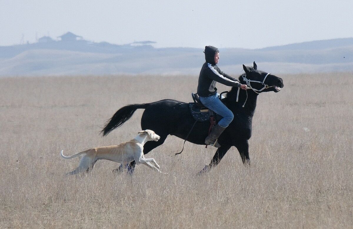 Ведра и тазы