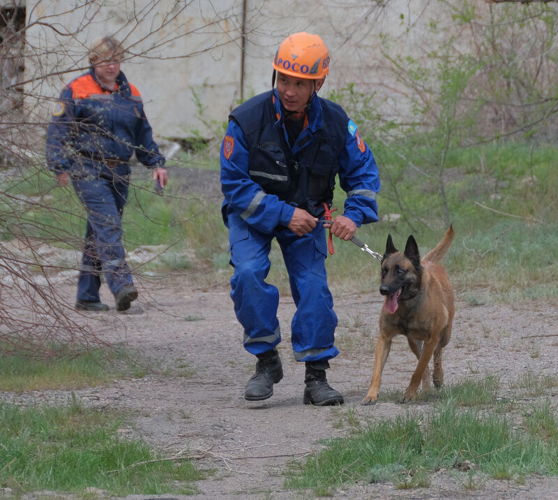 Вас нашли - теперь угощайте – Фото №1