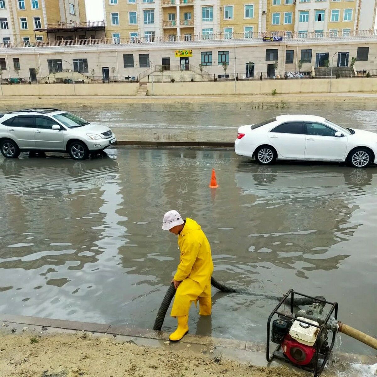 Сами же просили