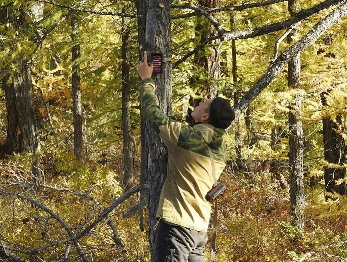 Неоспоримое доказательство