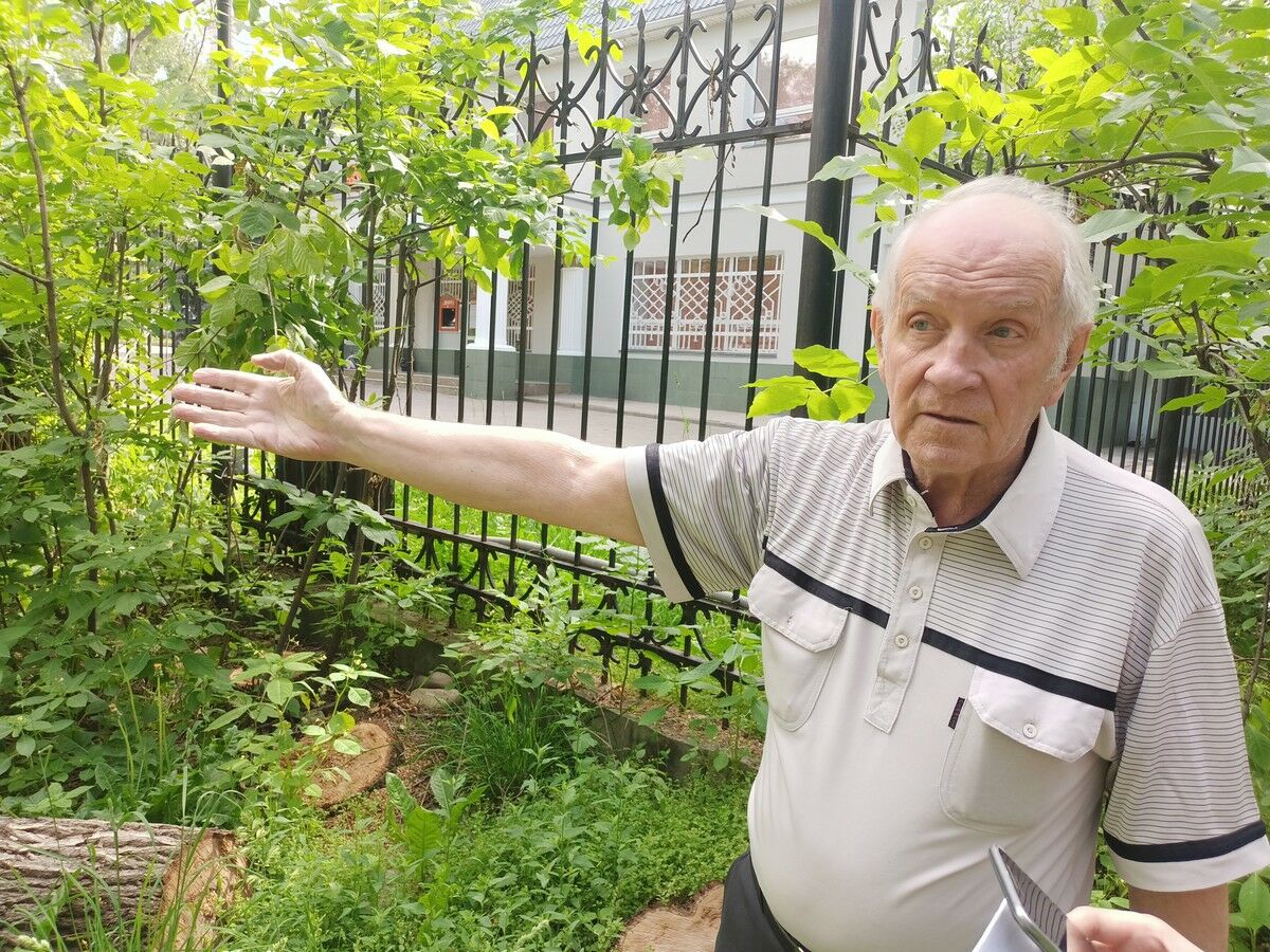 Деревья исчезают  в полночь