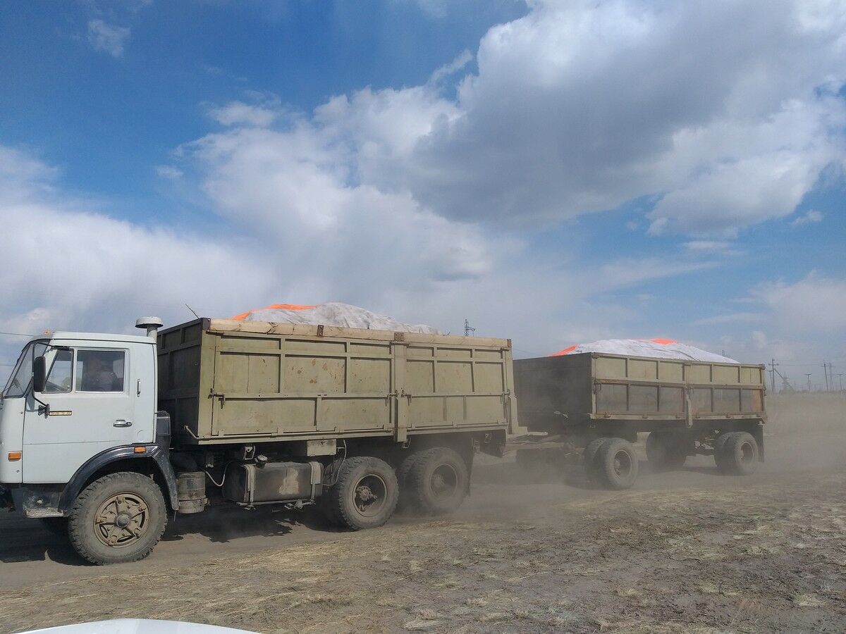 Выбрали из двух зол