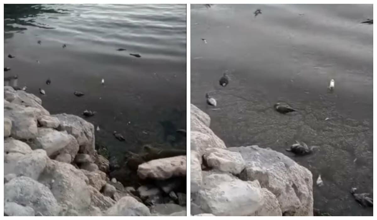 Попали в шторм?