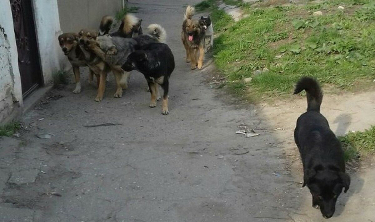 Подлежат уничтожению