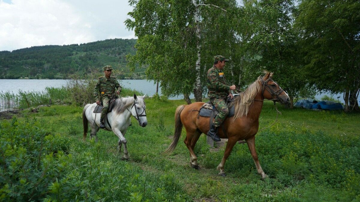Никто не останется незамеченным