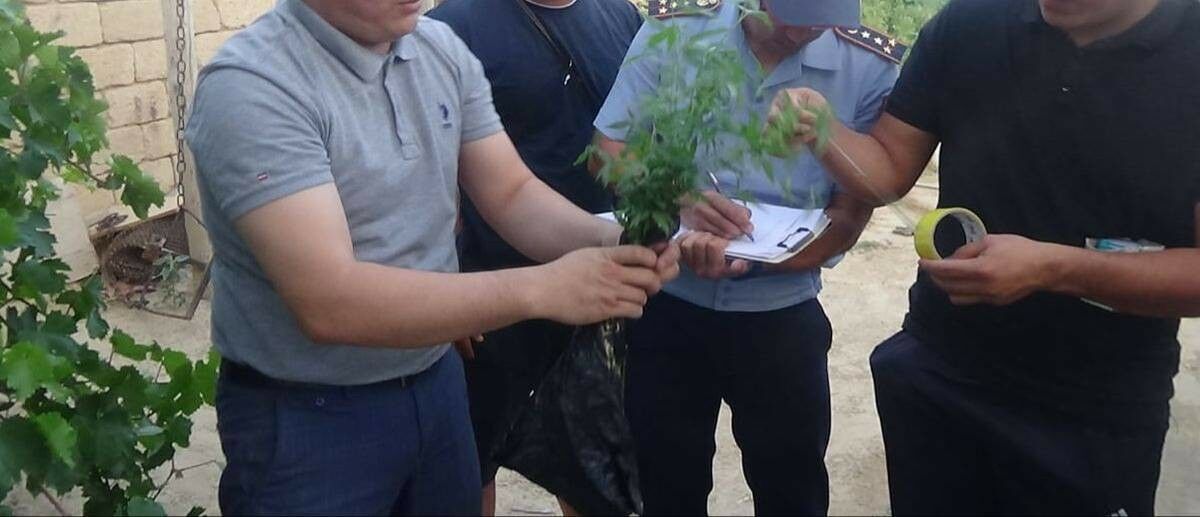 Полицейские снимают урожай