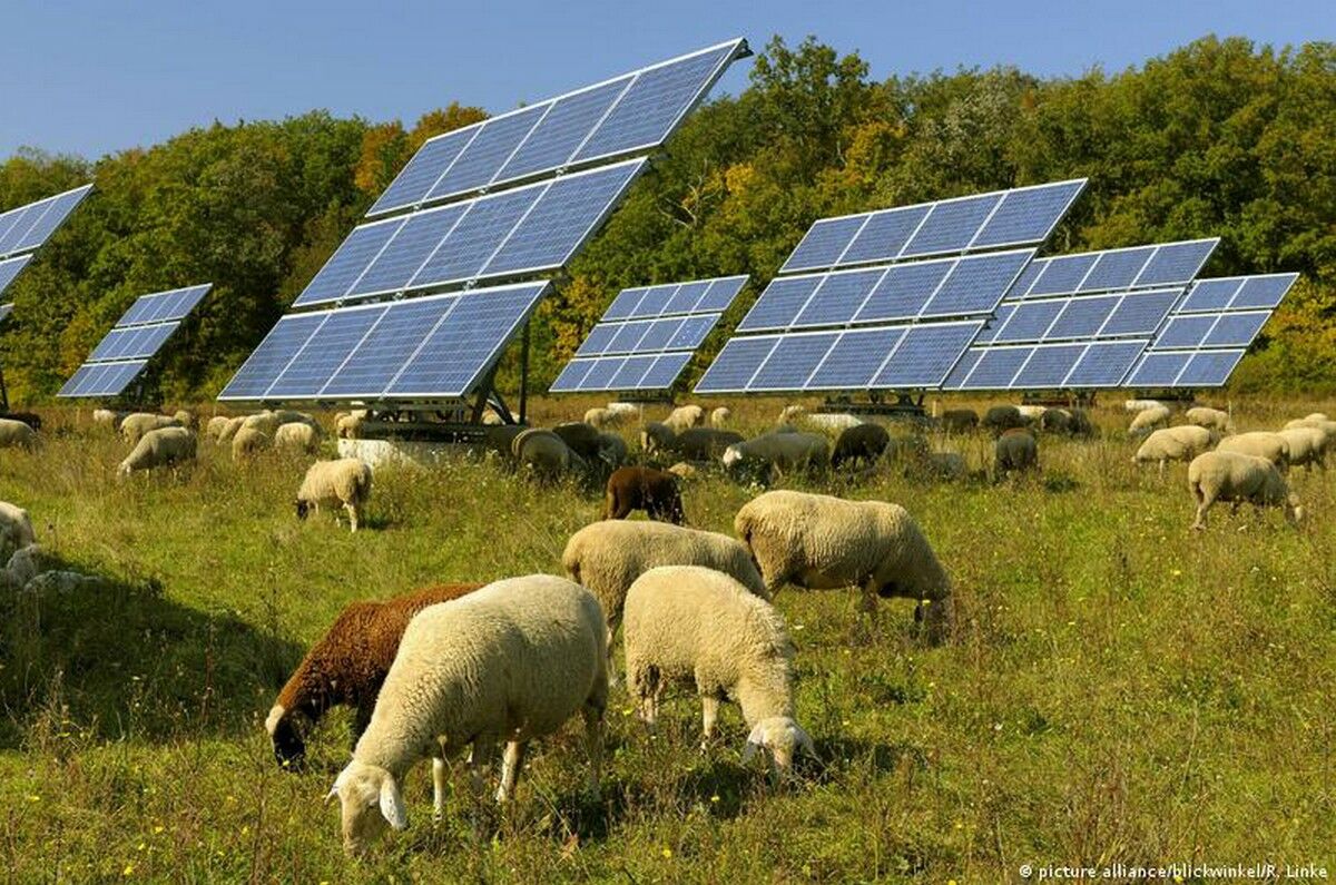 А поди-ка докажи!