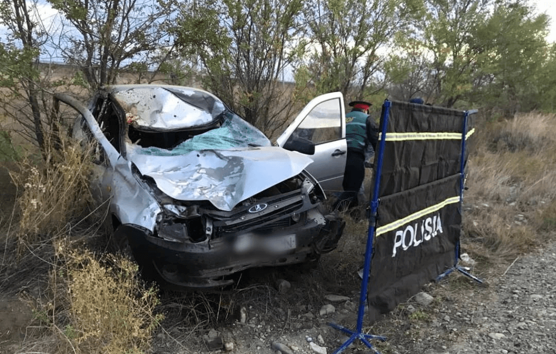 Водитель погиб при столкновении авто с лошадью на трассе Усть-Каменогорск – Алматы