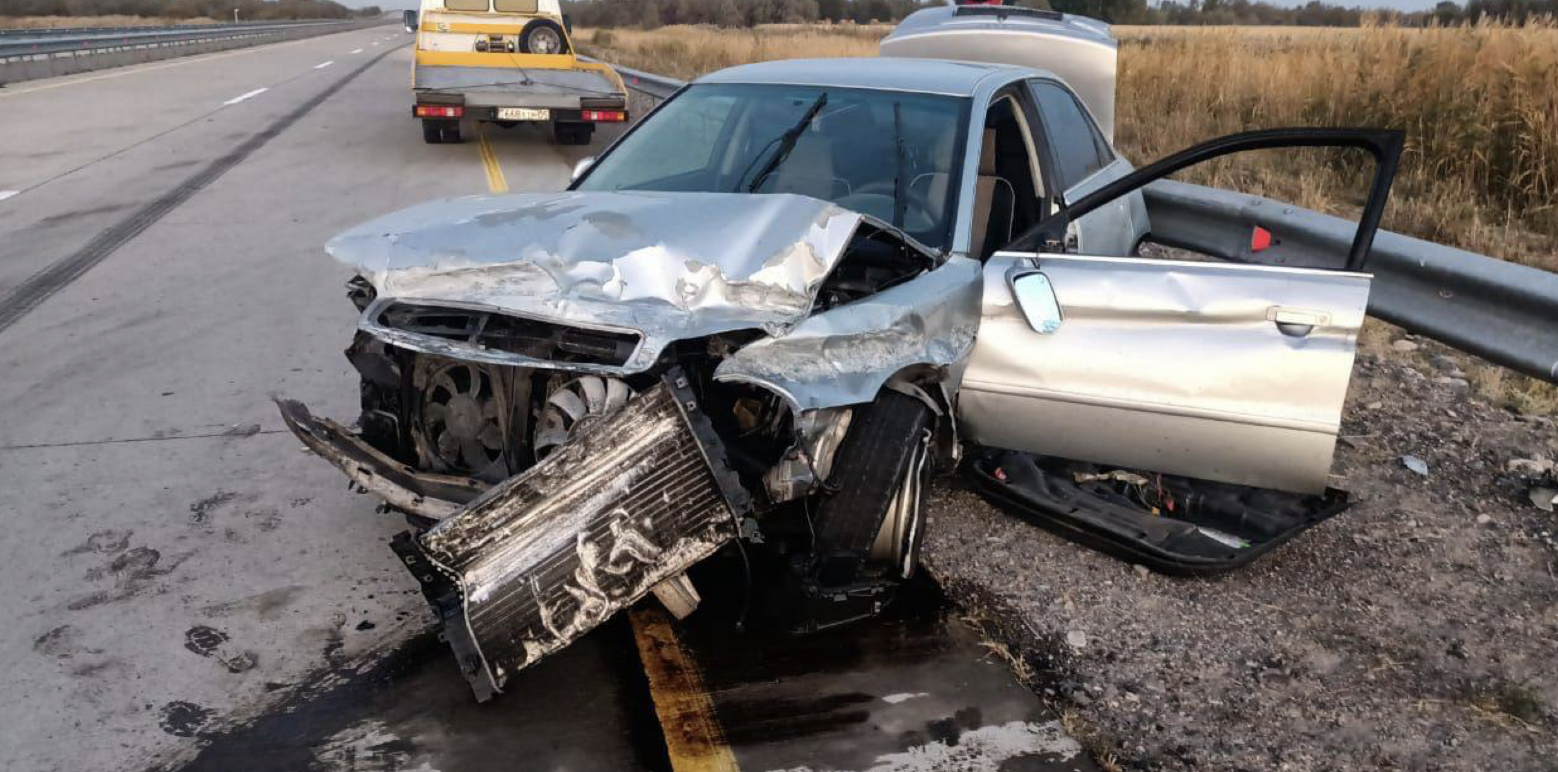 Из-за бродячего осла погиб водитель и трое госпитализированы в области Жетысу