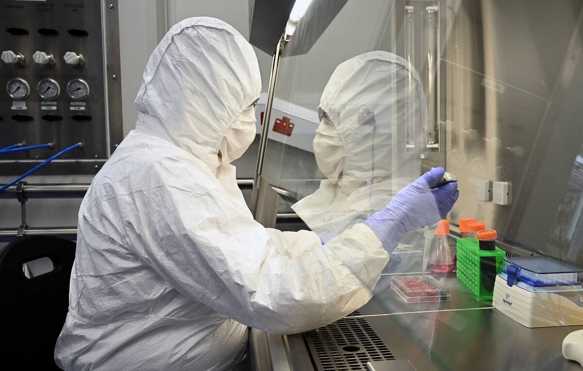 Искусственная кровь - из чужих стволовых клеток