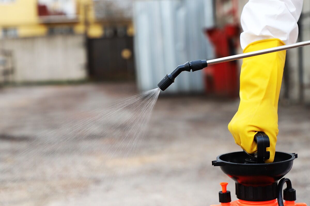 Возмездие настигло