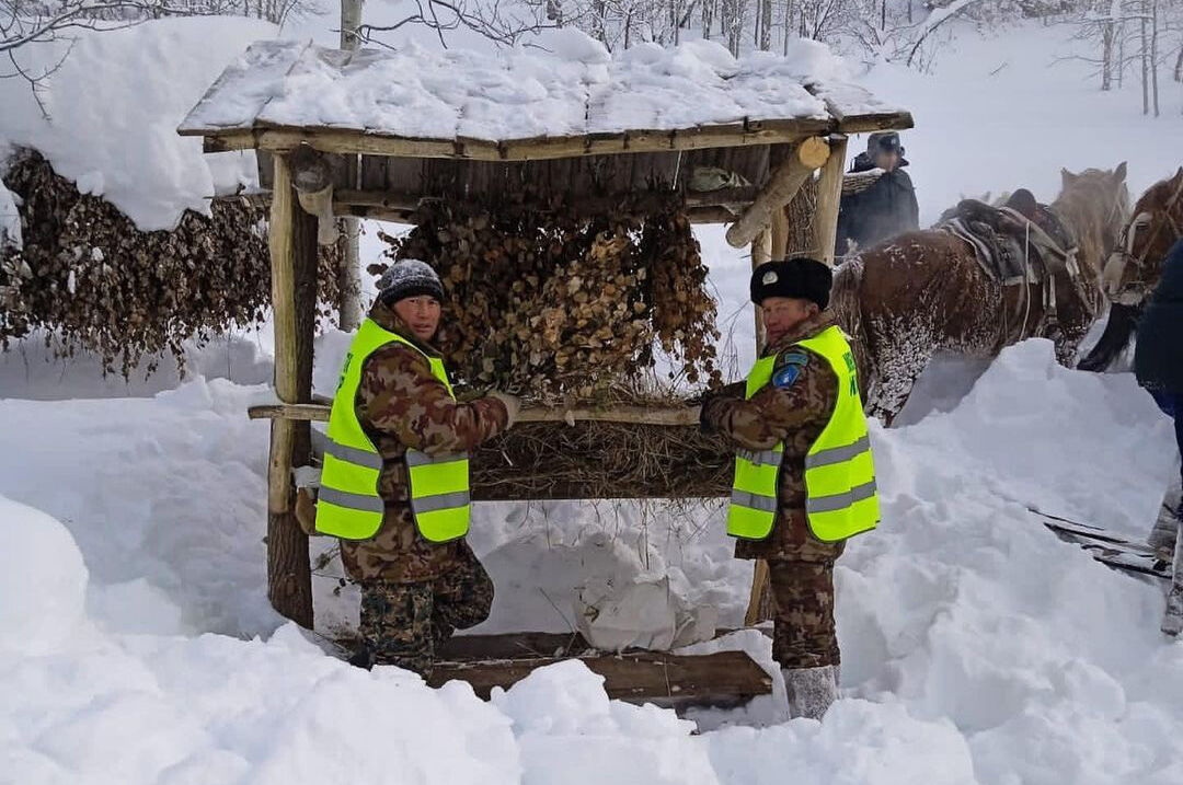 Веник на закуску