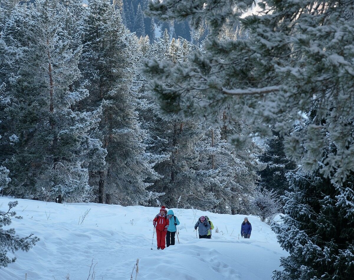 Бедный в горы не пойдёт?