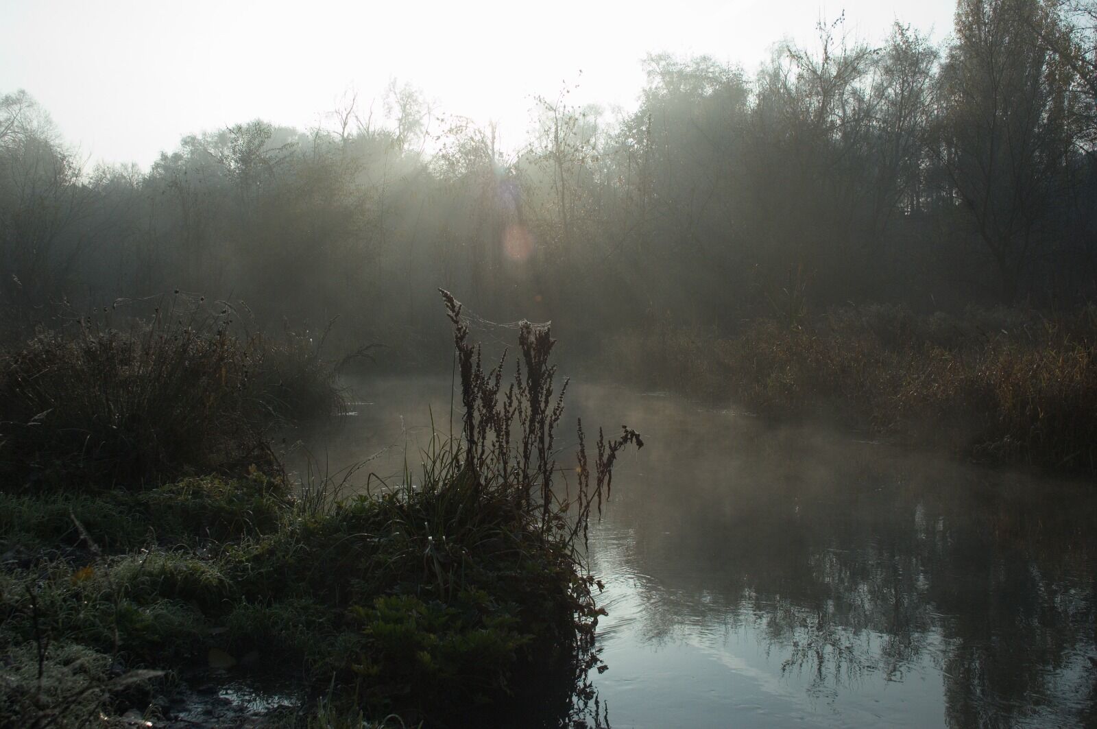 Страшная находка
