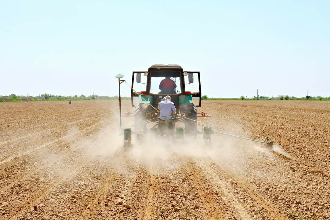 Чем не шанс заняться делом?