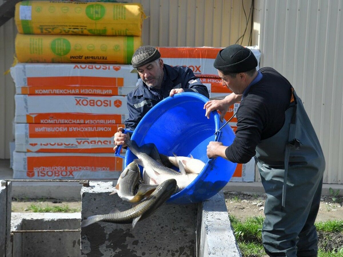 Готовьте снасти, а рыба будет