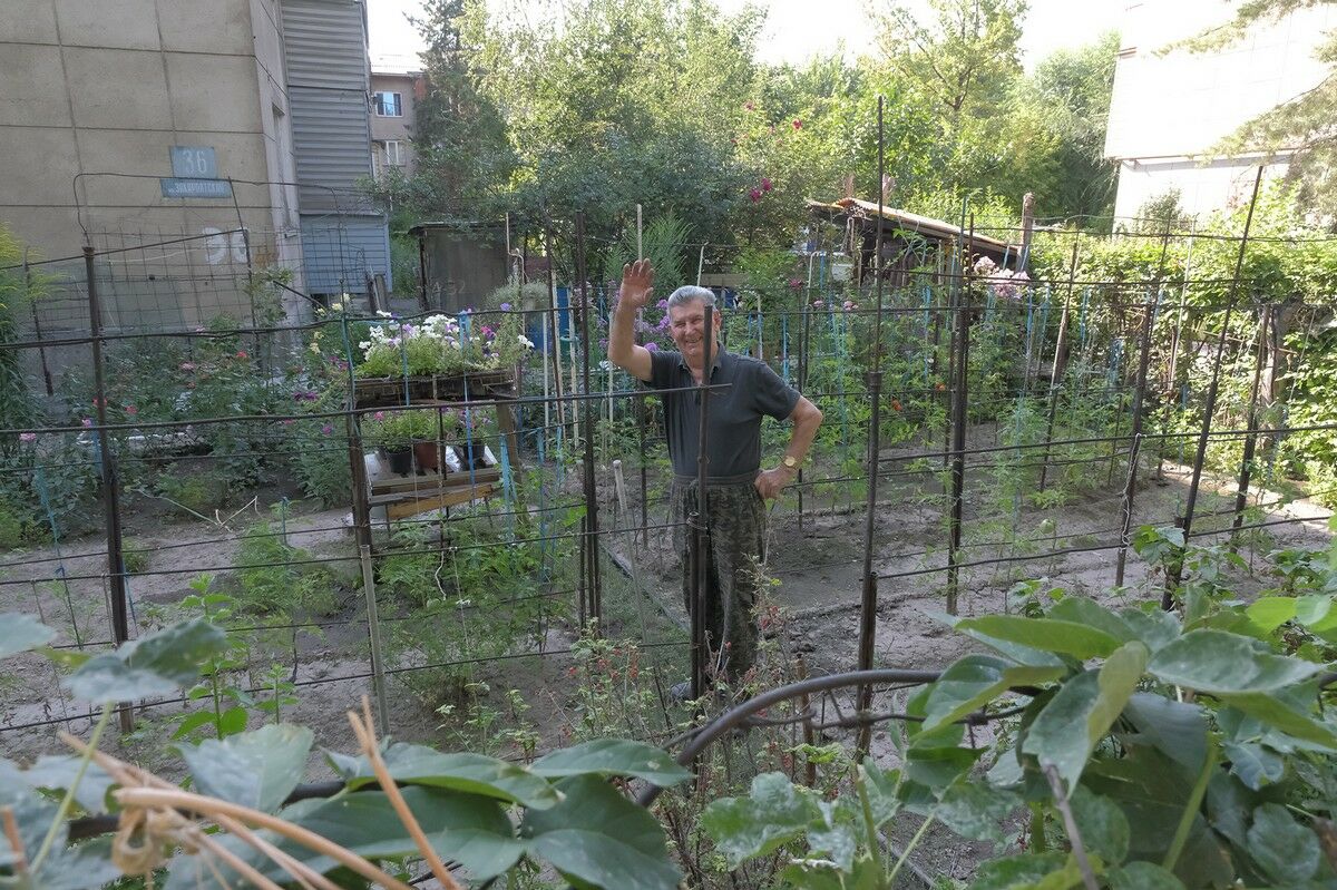 Алматинцы превратили палисадники в огороды и сады – Фото №2