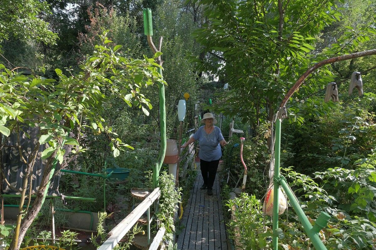 Алматинцы превратили палисадники в огороды и сады – Фото №8