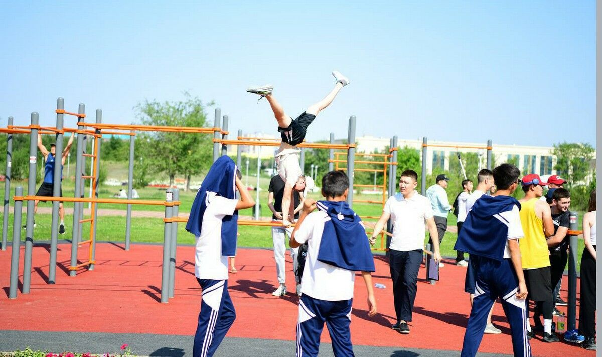 Антикор изымает - воркаут процветает