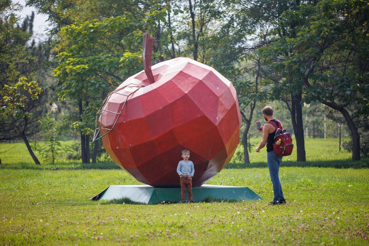 Считаем яблоки – Фото №10