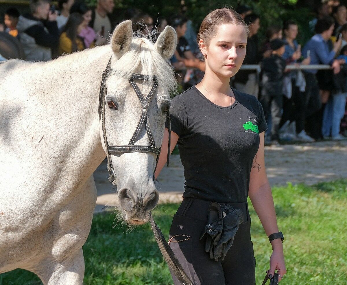 Уважаемая лошадь – Фото №3