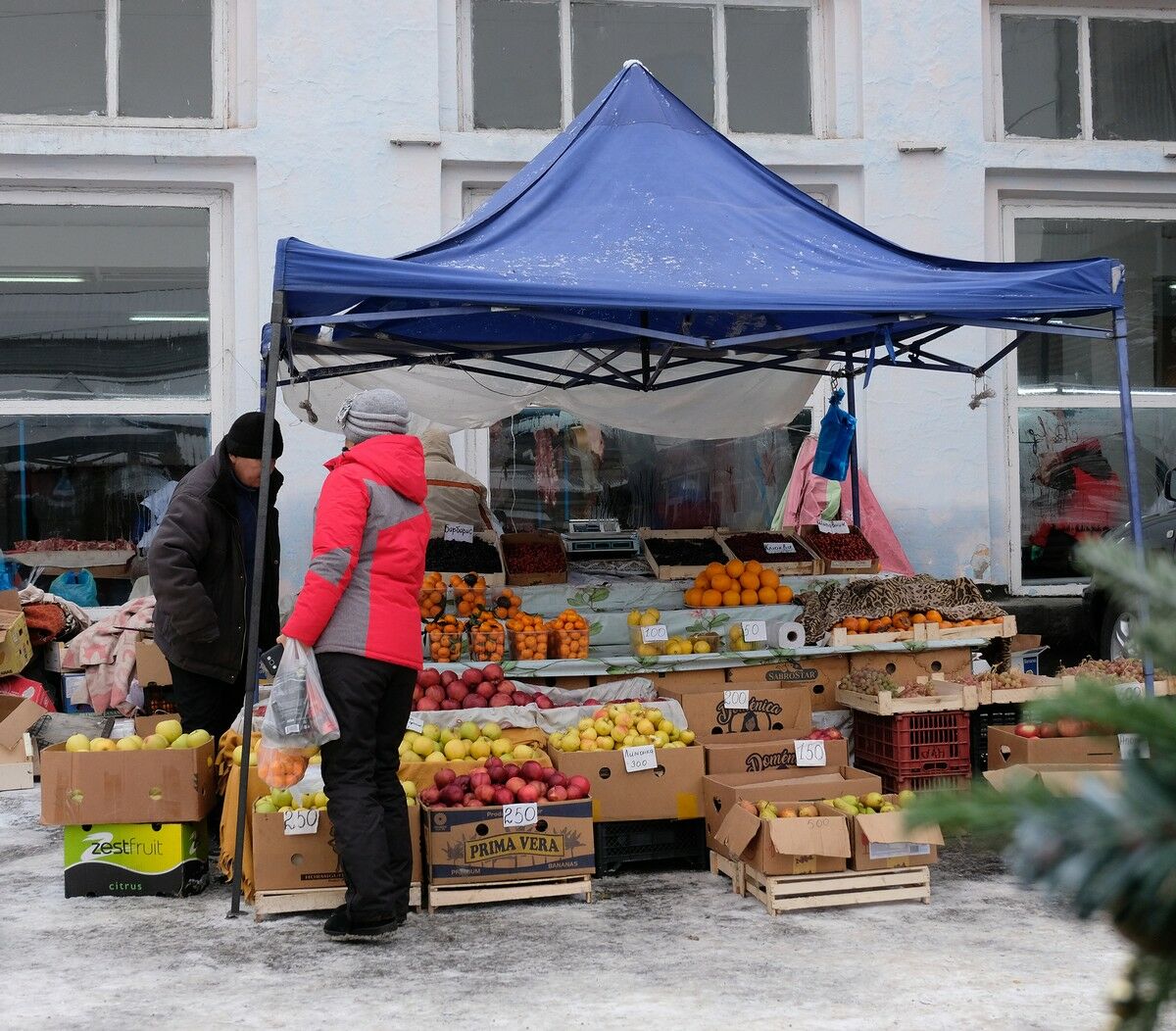 Бумажно-полевая бюрократия