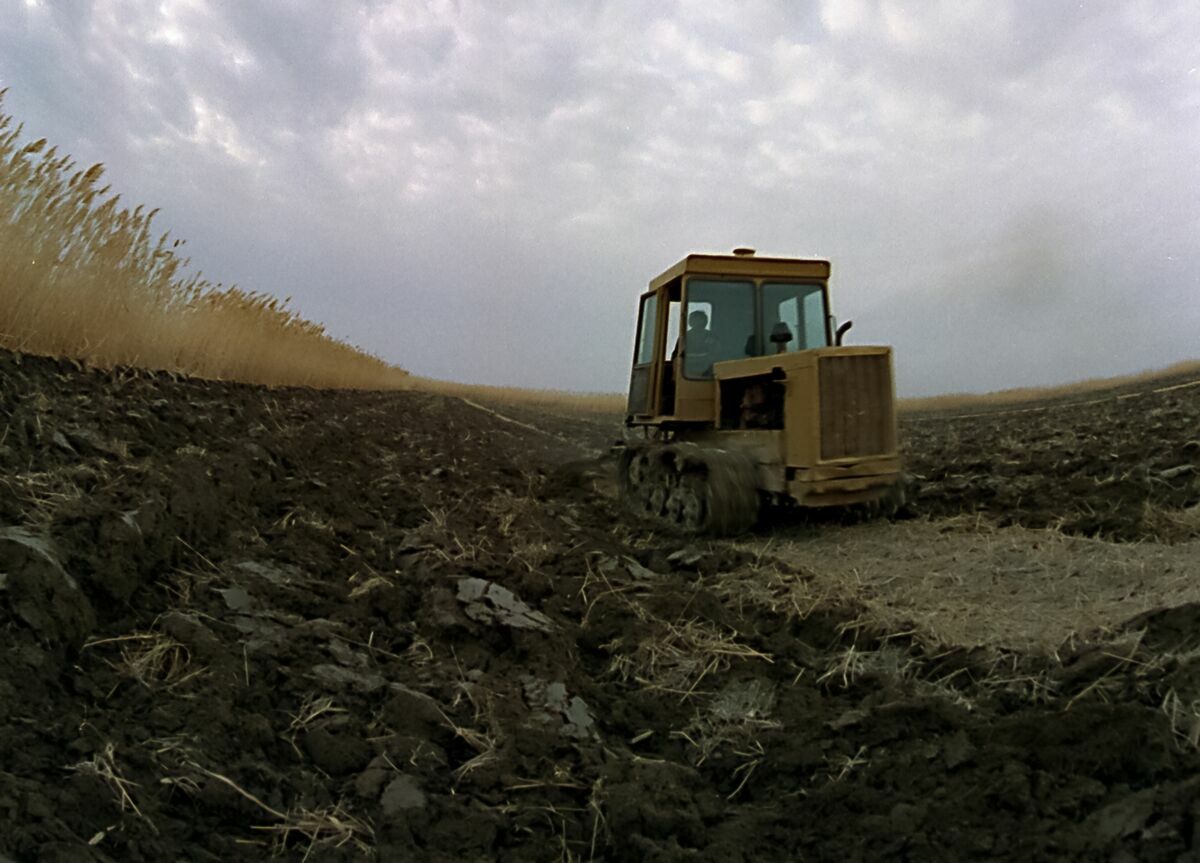 Риса без воды не бывает