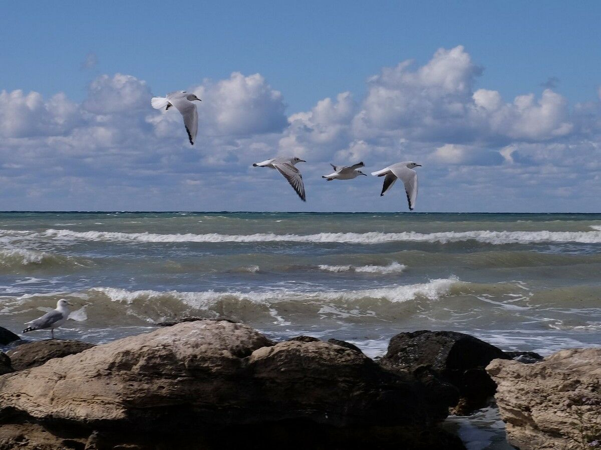 Приросли каспийскими водами