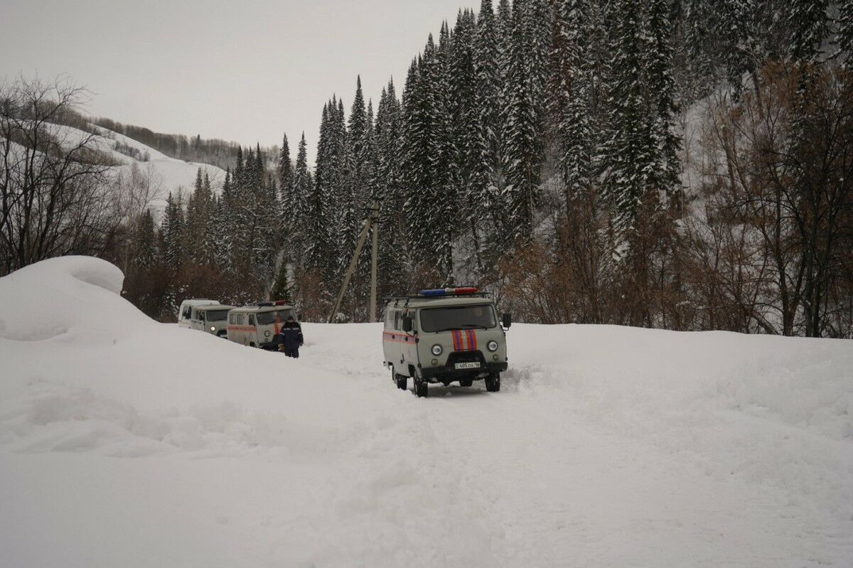 Куда его столько?!