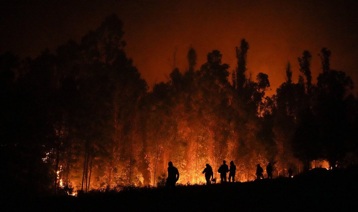 Эль-Ниньо пожирает леса и людей