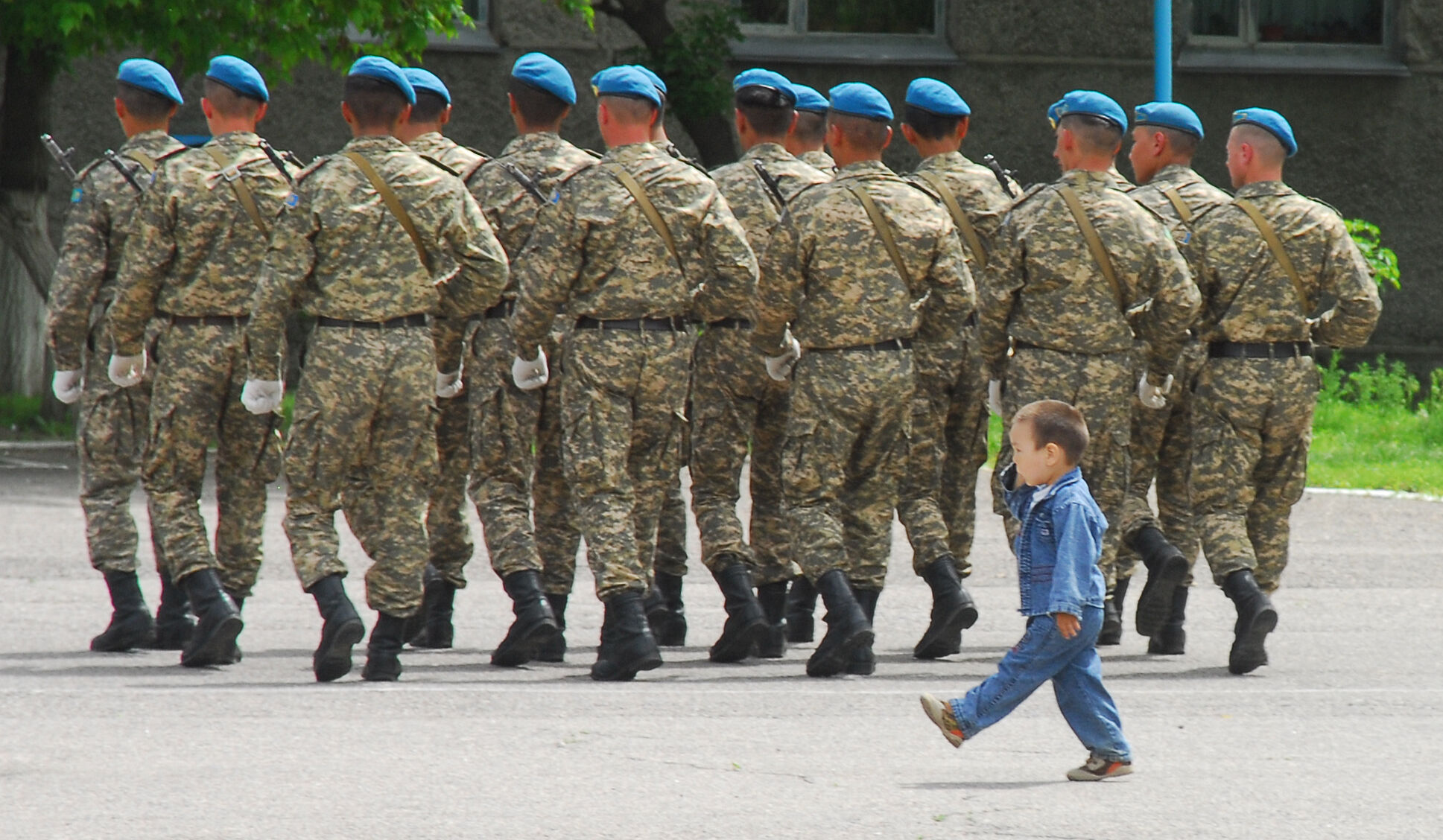 Армейская солидарность