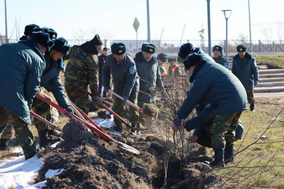 Посадили по правилам