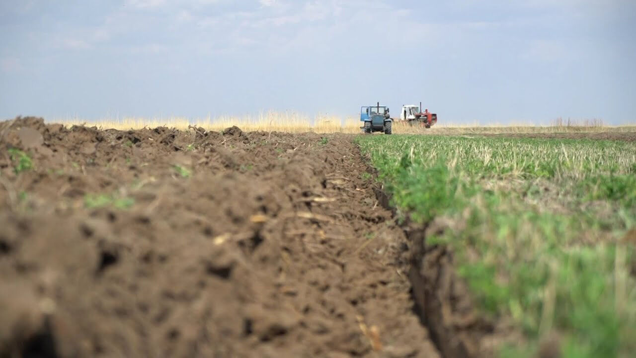 Палку перегнули