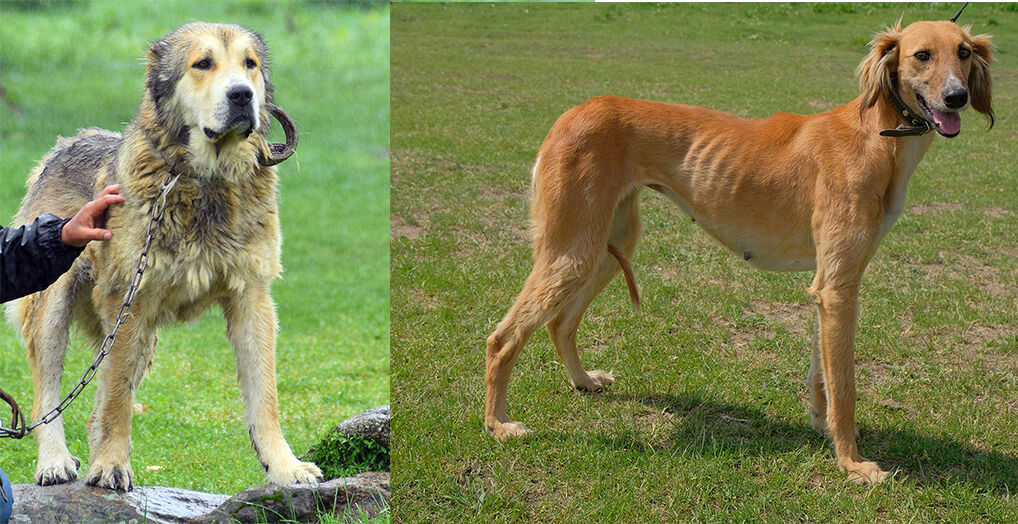 Только раз в году