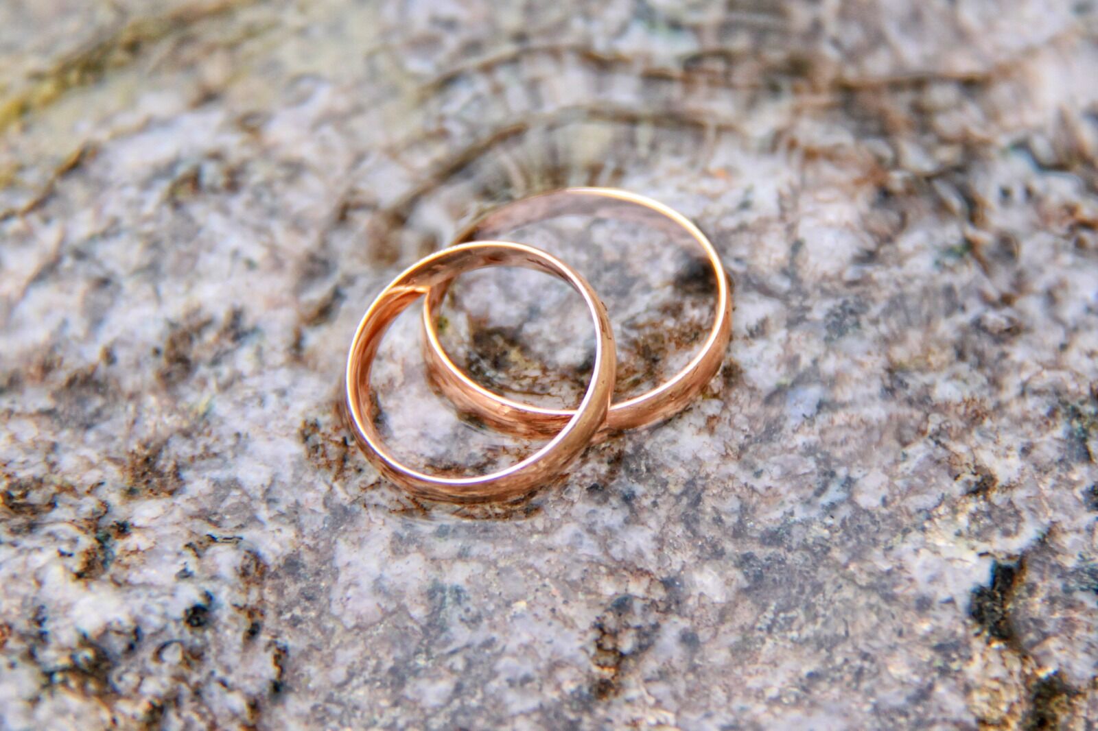 Цена жизни - два кольца