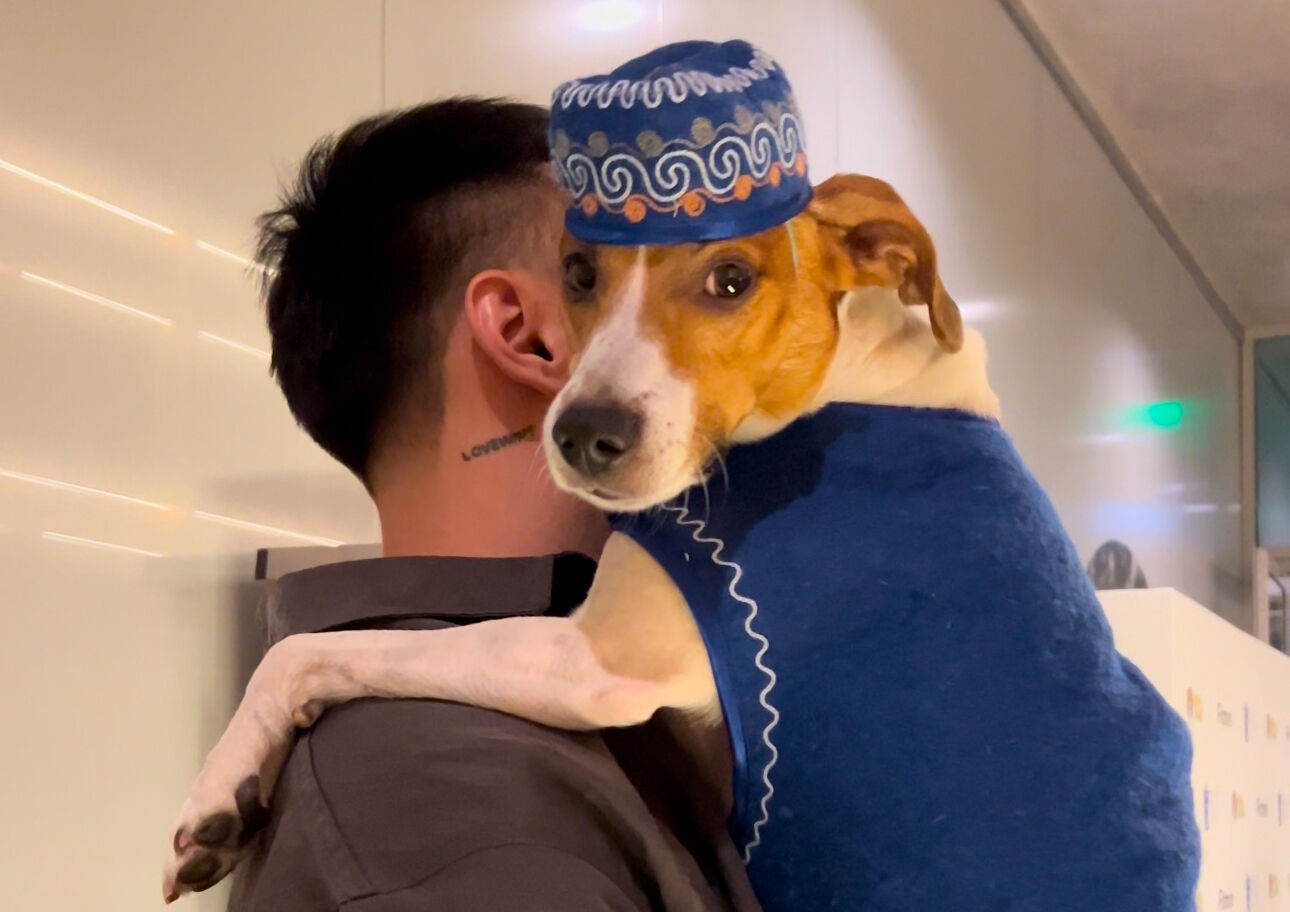 Полцарства  за аккаунт