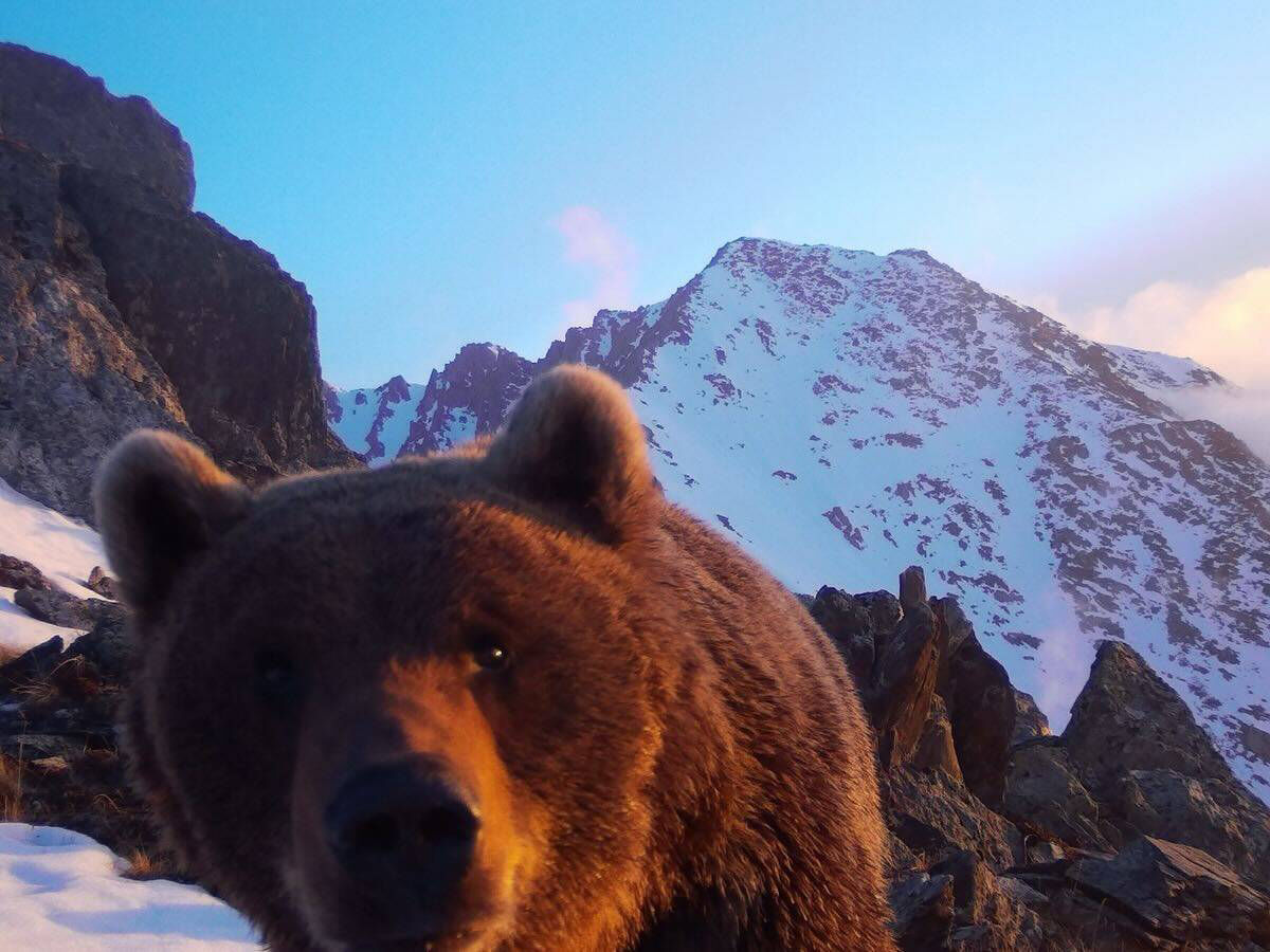 Инородный предмет