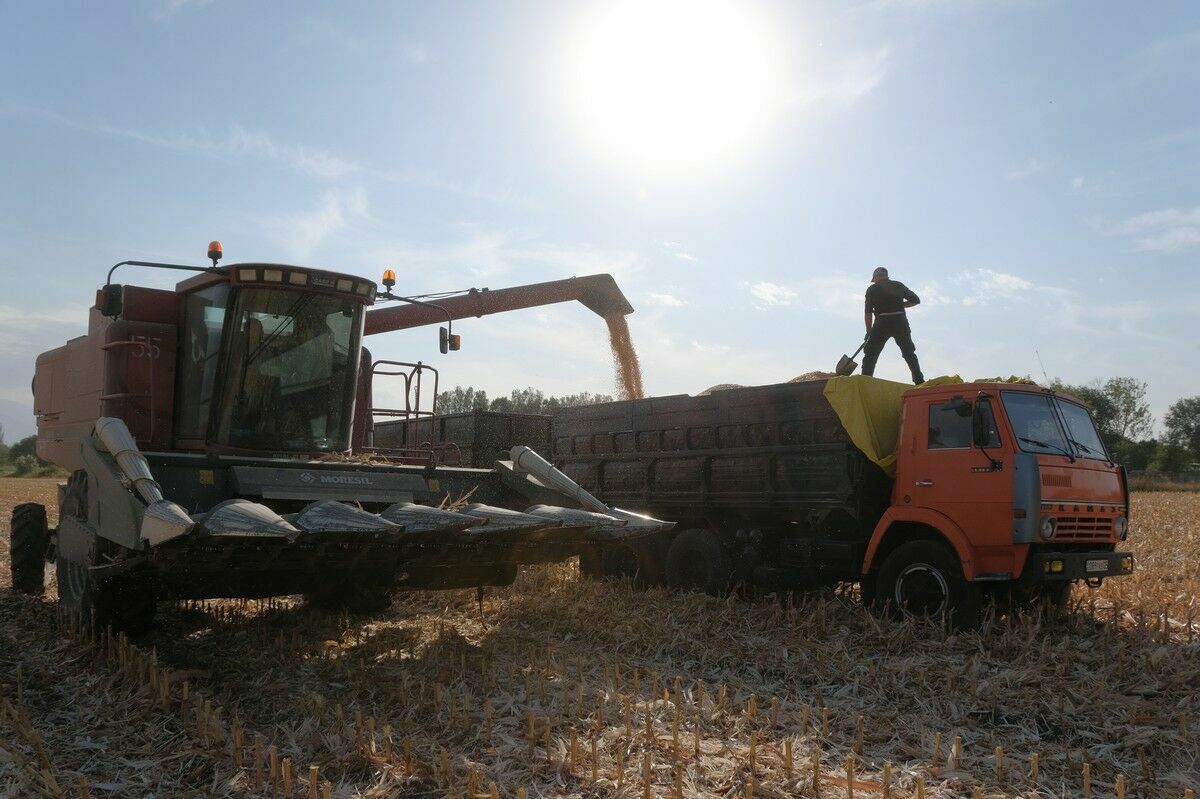 Менее 126 млрд тенге из запланированных 700 млрд тенге затратило АКК на кредиты фермерам Казахстана
