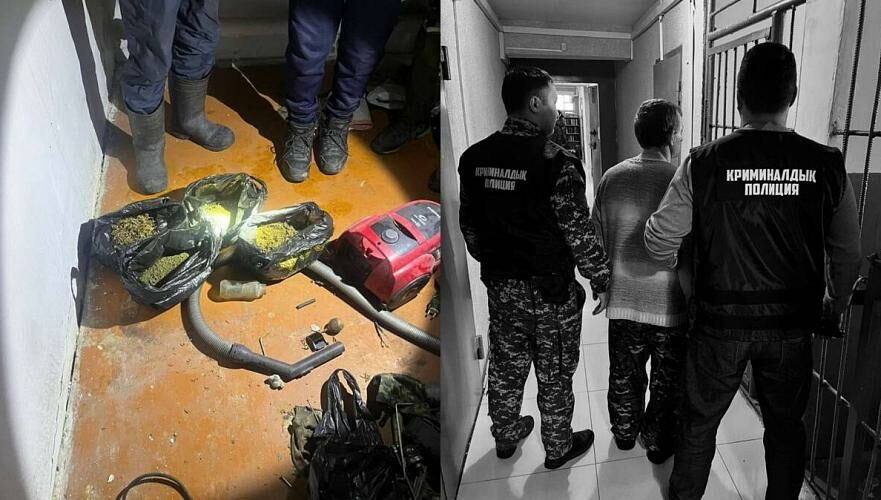 Хранившего крупную партию марихуаны осудили на три года в Костанайской области