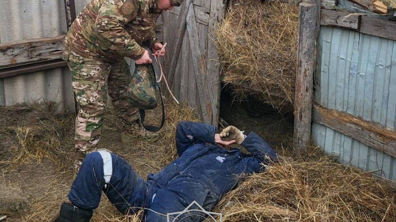 Тюк по голове