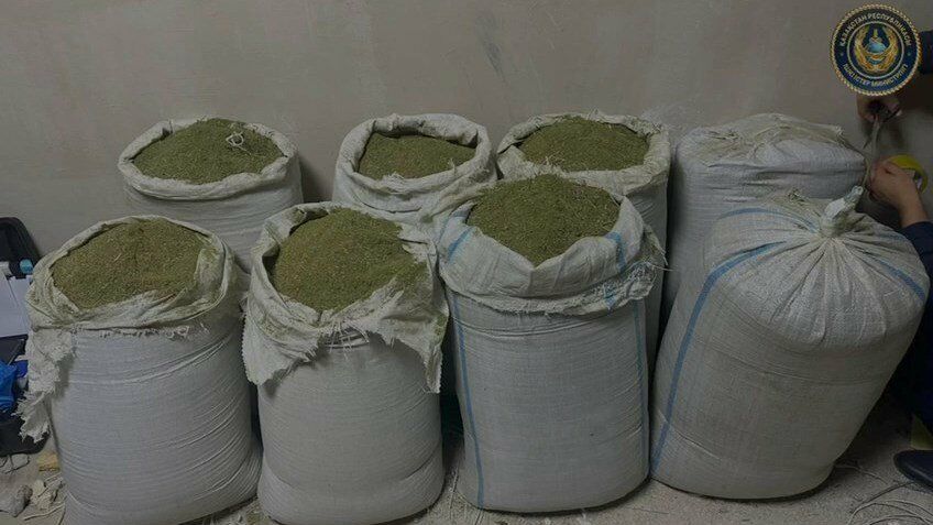 От травы до синтетики