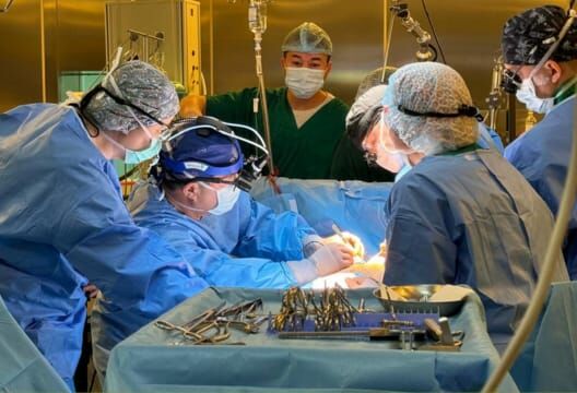 Всех нужнее и дороже в этом мире доброта