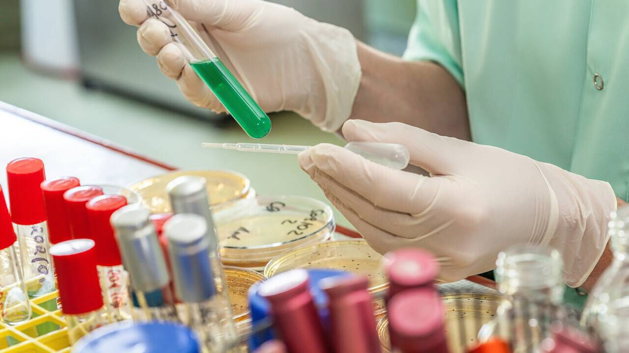 По шефскому велению