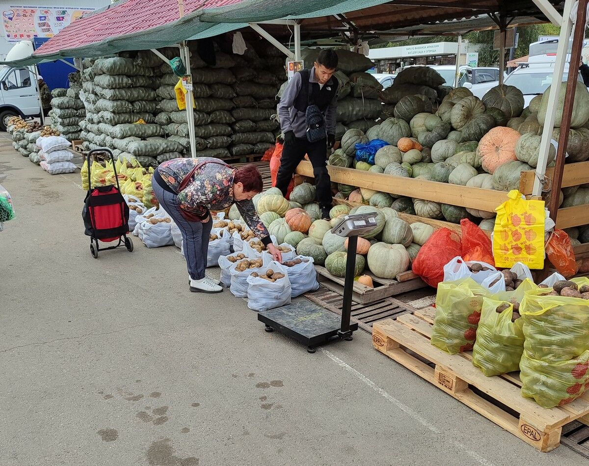 Посредник из могикан