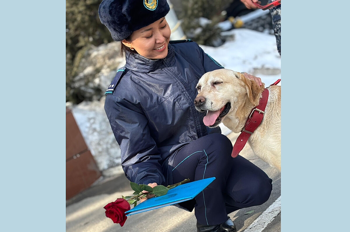 Роза за ласку