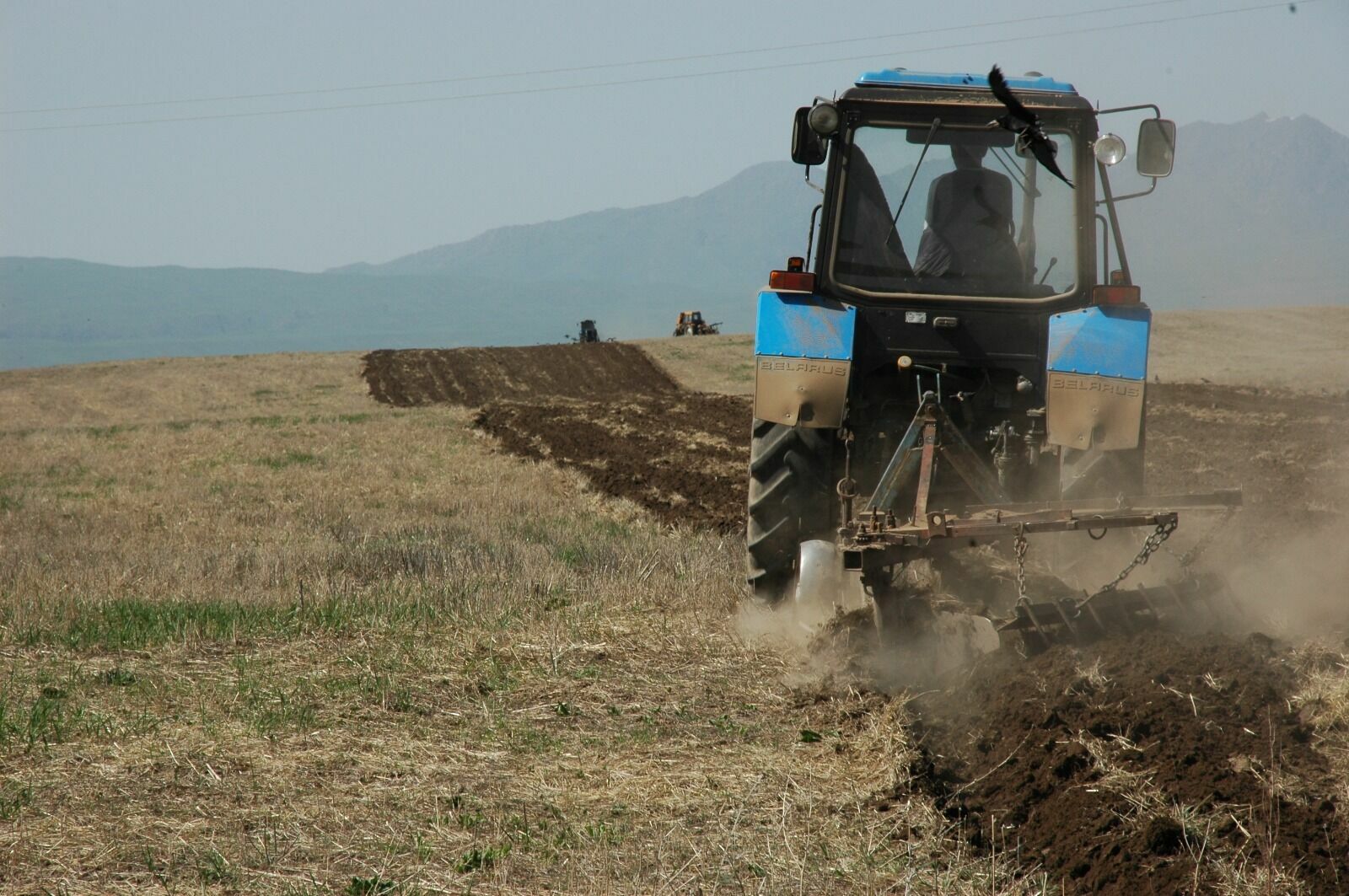 На 200 млрд тенге собирается профинансировать фермеров «Казагрофинанс» в 2025 году