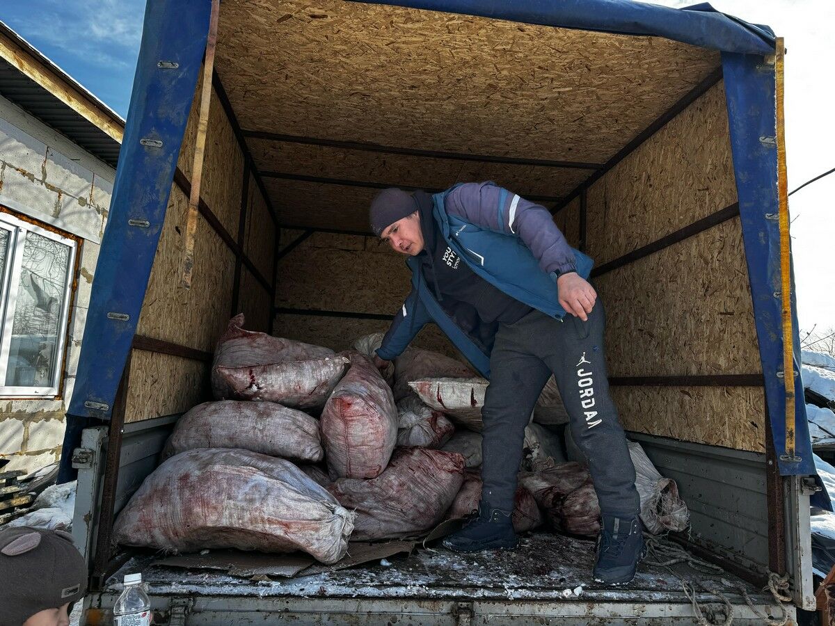 Собачья жизнь и мрачные перспективы – Фото №3