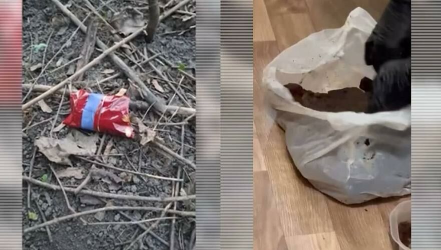 Более 50 кг наркотиков изъяли у мужчины в Алматы